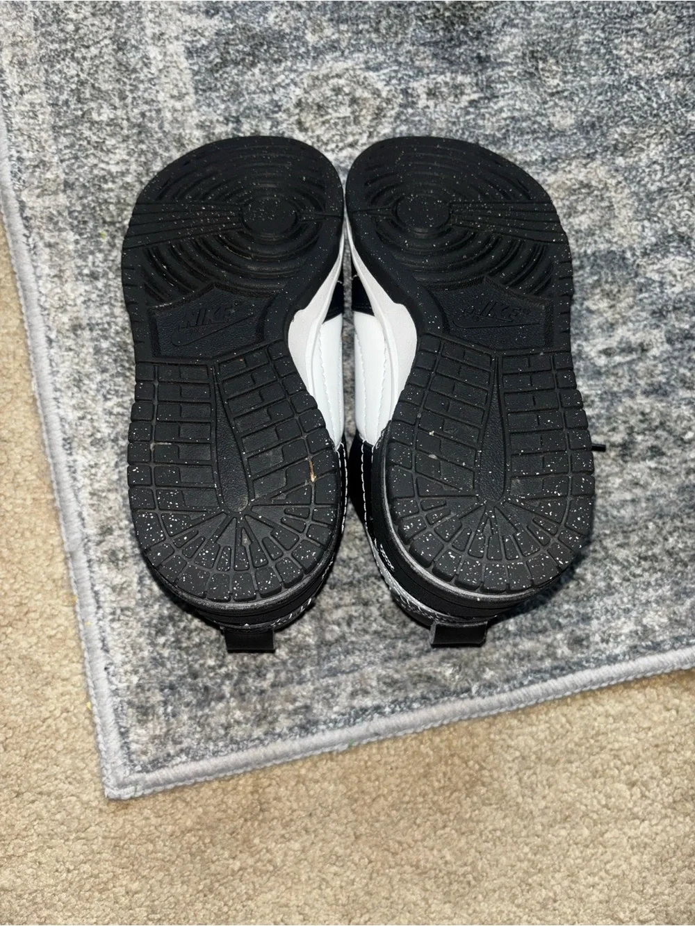 Nike Dunk Low Disrupt 2